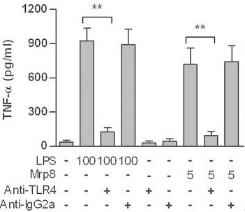 Human monocytes were pre-incubated with the anti-TLR4 mAb.jpg